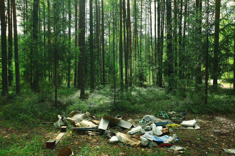Rediscover Your Home Through Hoarder Clean Up and Decluttering